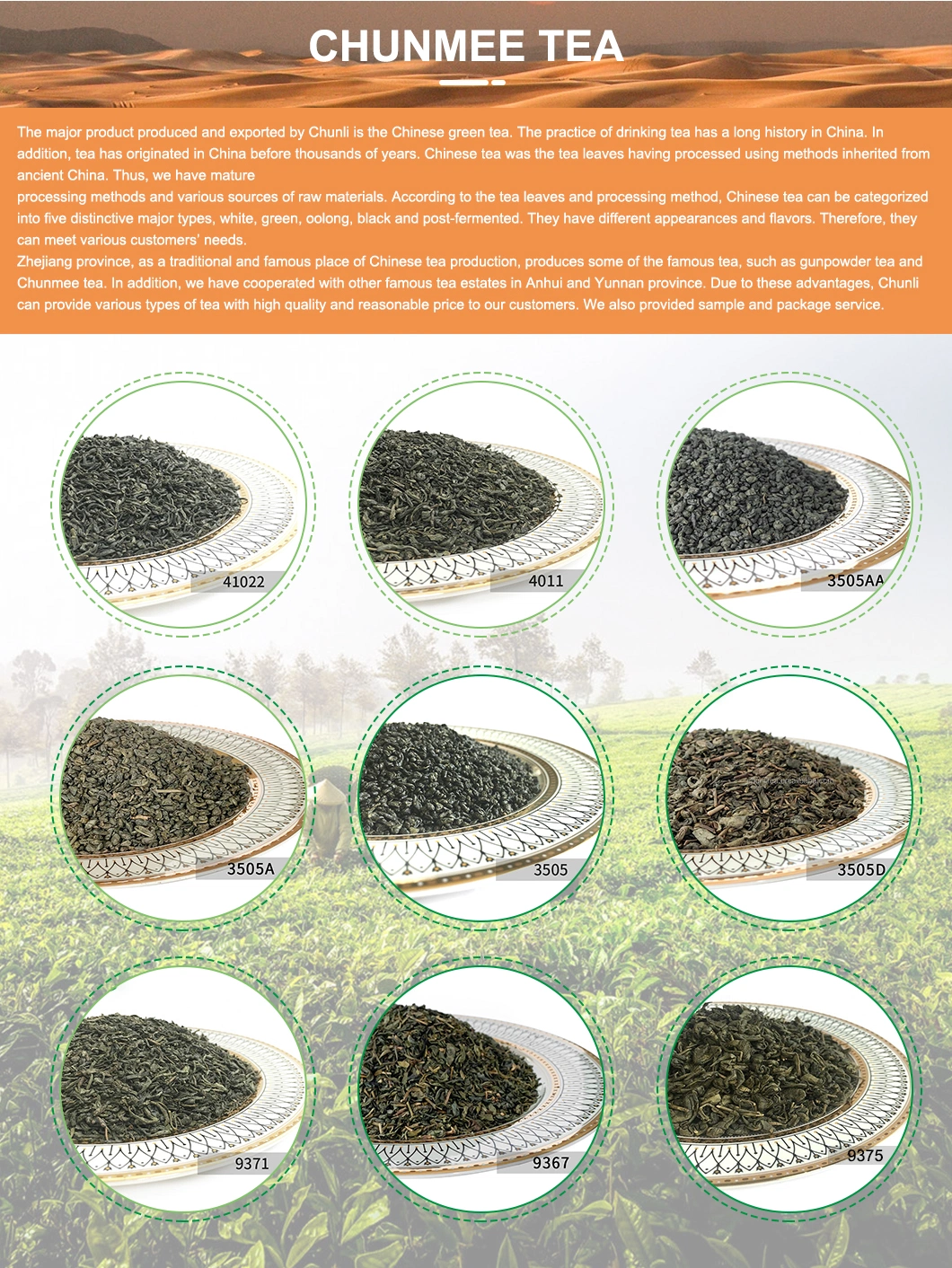 High Quality Chunmee Tea Te Verde 41022AAA for Mali Senegal Mauritania