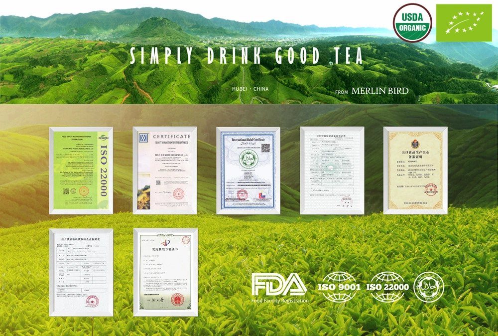 China Green Tea High Quality Premium Organic Maojian Green Tea Leaves