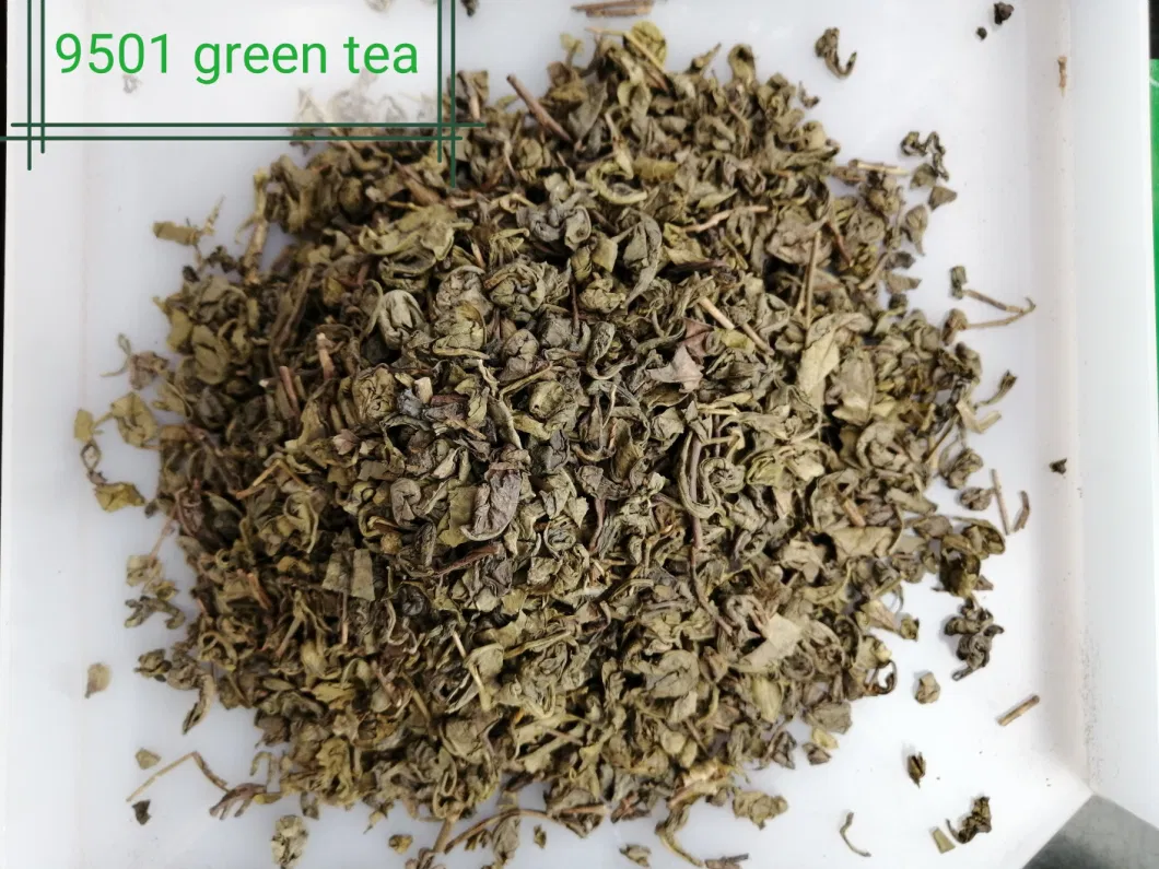 Natural Spring Health China Green Tea Gunpowder Tea 9501/3505