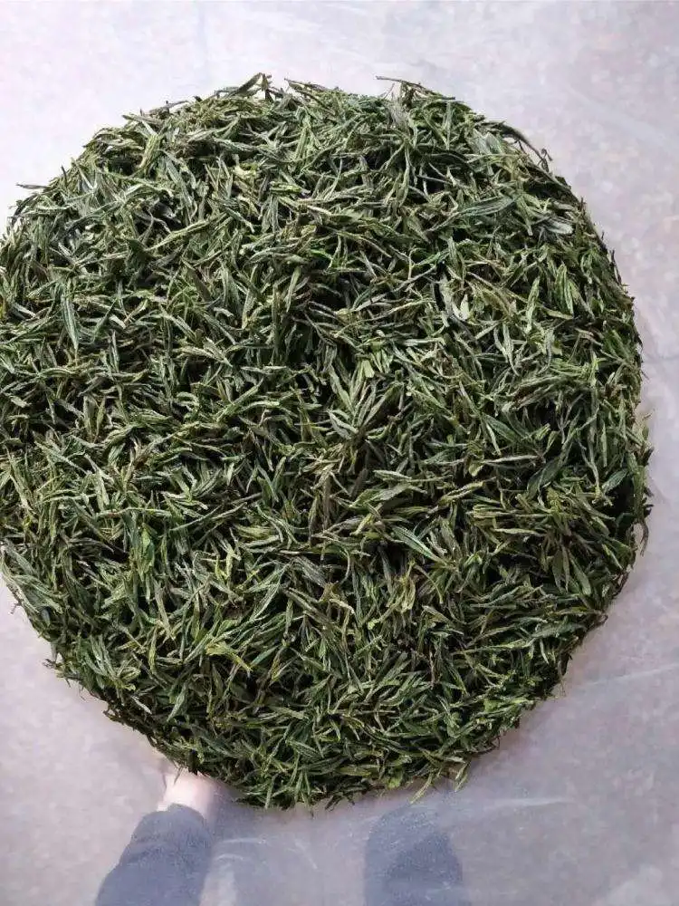 New Premium Green Tea Powder in Bulk Wholesale