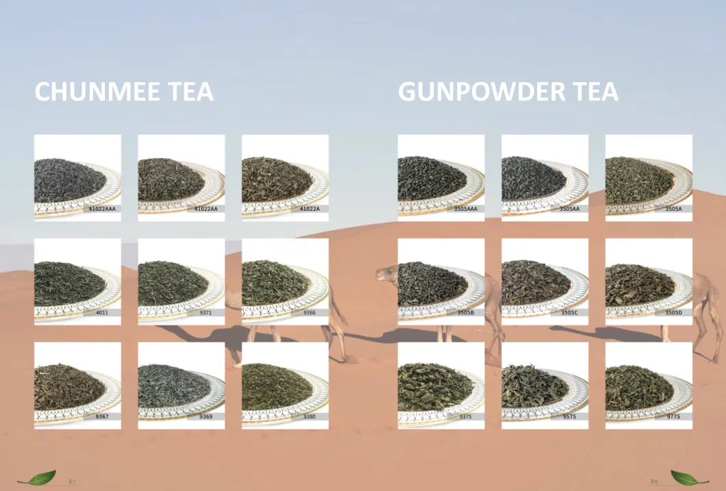 Chinese Factory Tea Gunpowder 3505 Grain Morocco Tea