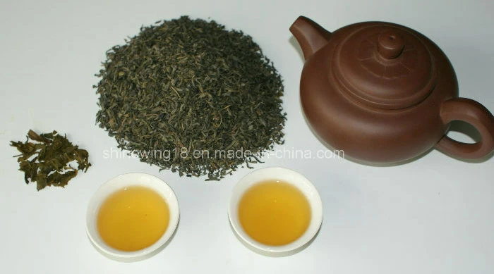 Fresh Green Tea for Uzbekistan, Kazakhstan Chunmee 3306 3301 3303