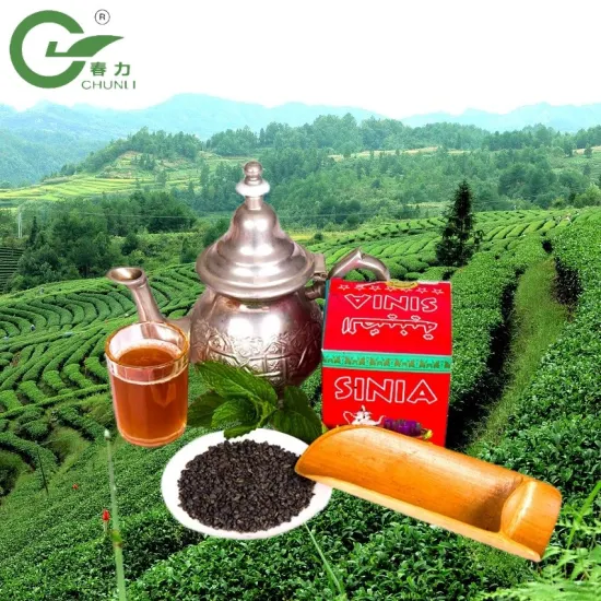 Chinese Tea Green Tea 3505 Gunpowder Organic Maroc Tea Factory