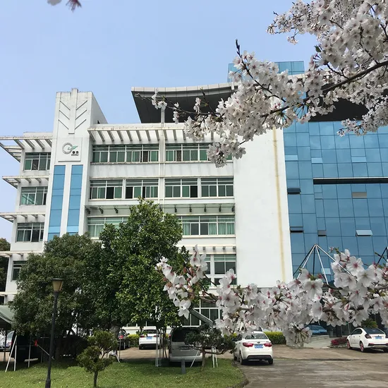 China Green Tea The Vert De Chine Chunmee Tea for Morocco 41022AAA