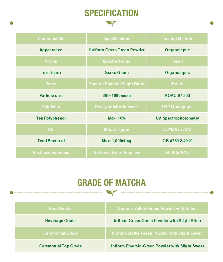 Wholesale Natural Fresh Premium Private Label Organic OEM Matcha Powder Green Tea Effect Matcha
