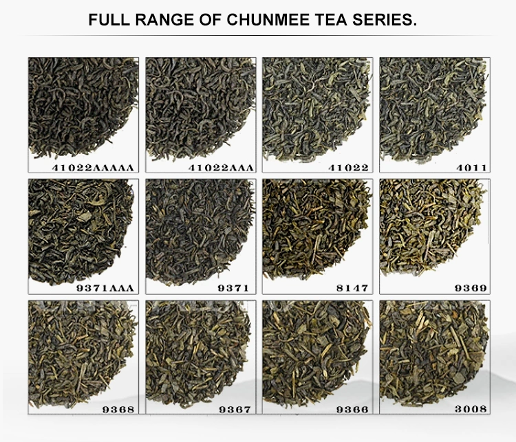 Chunmee Green Tea with High Quality with Different Grades