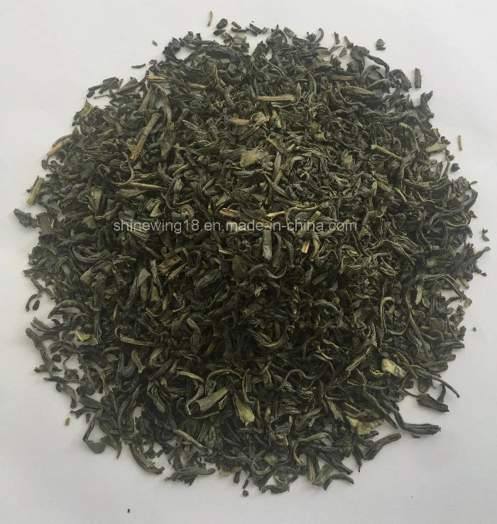 Chunmee Tea 9371, 8147, 9367, 9366 Green Tea Wholesale