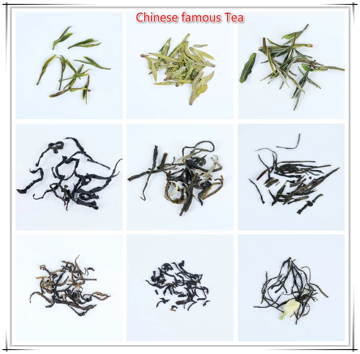 Chinese Green Tea The Vert De Chine Extra Chunmee Tea for Africa