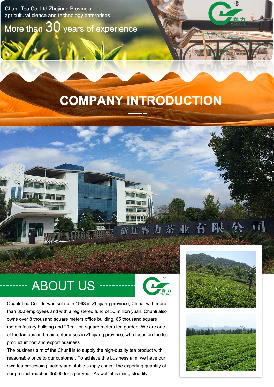 China Best Quality Low Price Factory Green Tea Supplier Gunpowder 3505AA