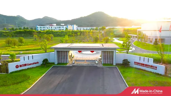 Best Quality Organic Loose Leaf Oolong Tea GMP Factory 