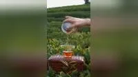 The Honey Scented Black Tea 