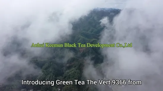 Anhui Organic Gorgeous Keemun Black Tea 1121 Wholesale EU From Qimen Anhui China