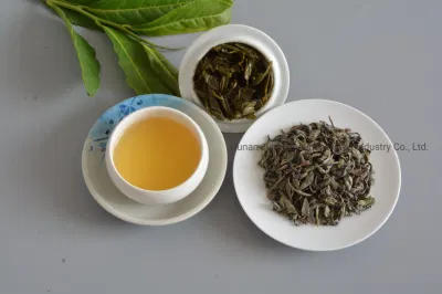 Green Tea Factory Premium Organic Tea Op 9101