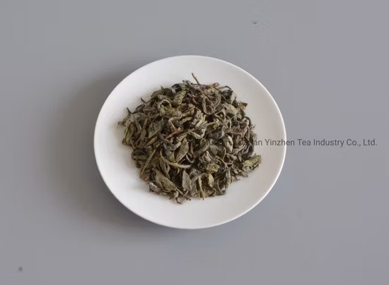 Green Tea Factory Premium Organic Tea Op 9101