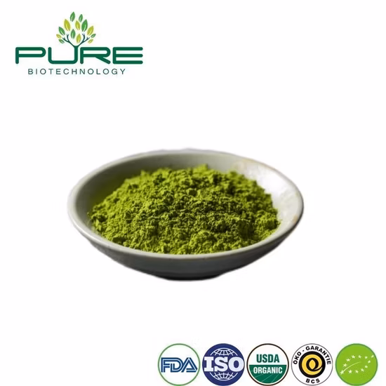 New Premium Green Tea Powder in Bulk Wholesale