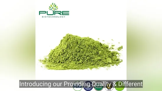 Premium Organic Matcha Green Tea Powder for Culinary Delights 